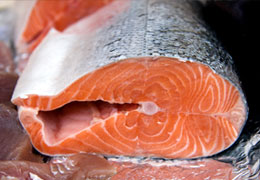 Salmon Steaks from Sussex Fishmonger