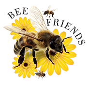 Bee Friends honey in 